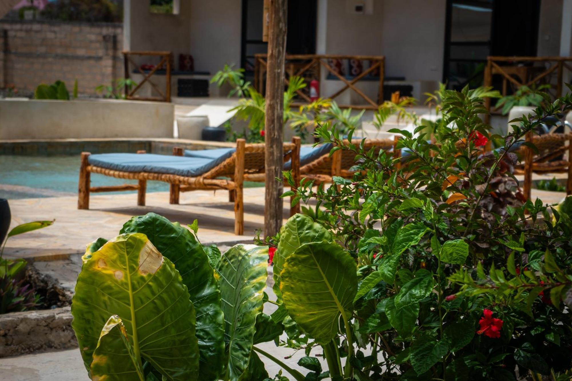 Blooming Zanzibar Hotell Jambiani  Exteriör bild